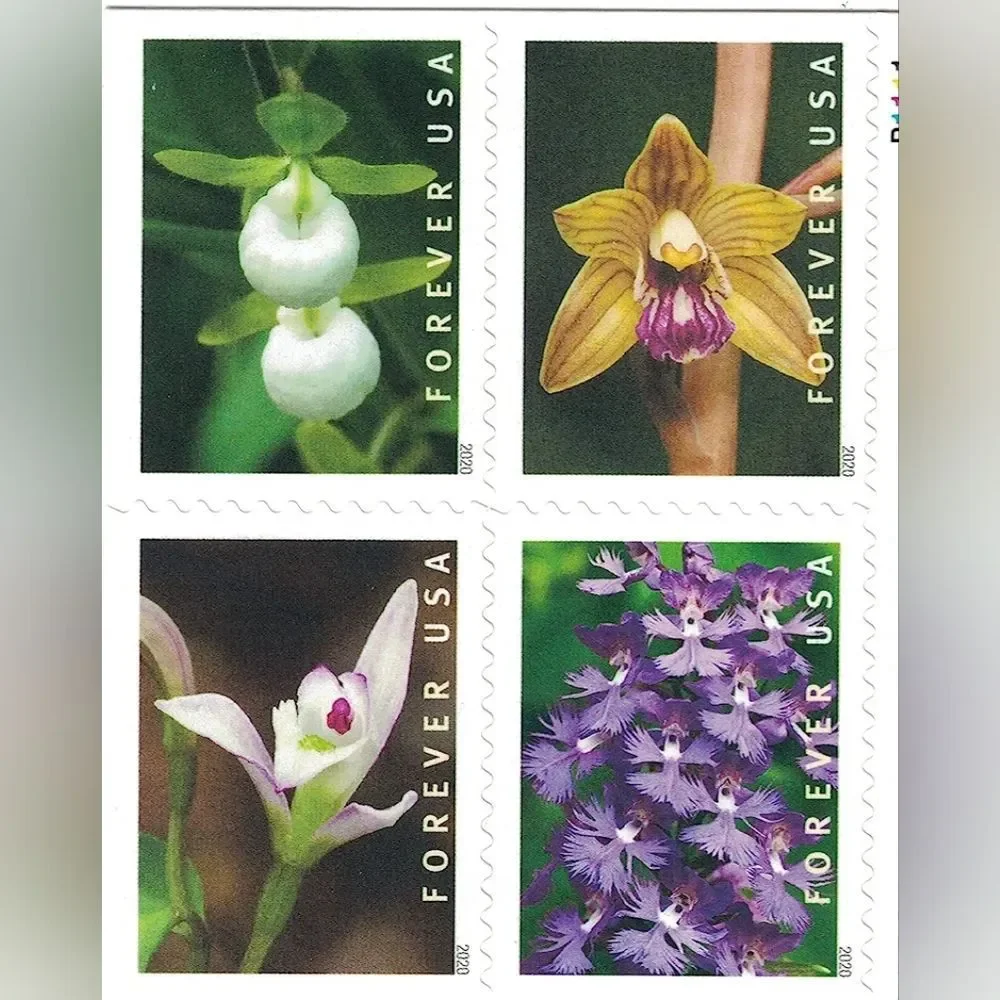 100 Forever Wild Orchids 2019‎ USPS Postage Stamps Wedding Invitations Flowers